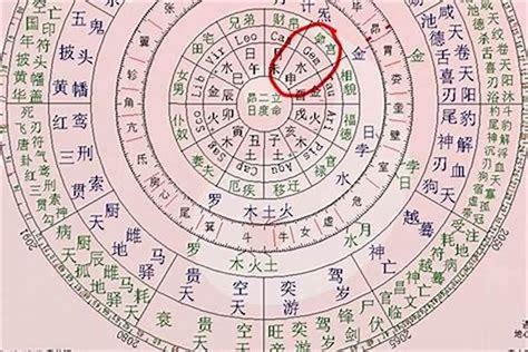 生辰八字怎麼看|教你如何知道自己的生辰八字